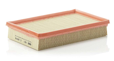 Luftfilter MANN-FILTER C 2579