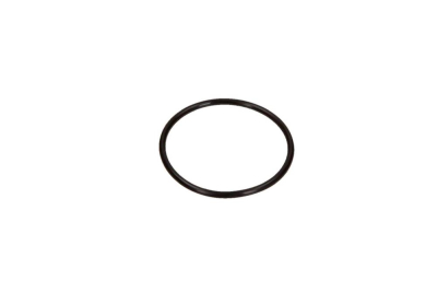 Packning, termostat FEBI BILSTEIN 10258