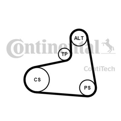 Flerspårsremssats CONTINENTAL CTAM 6PK906K1