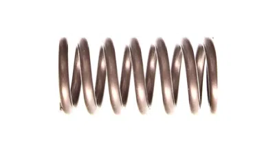Ventilfjäder ORIGINAL VAG 036109623R