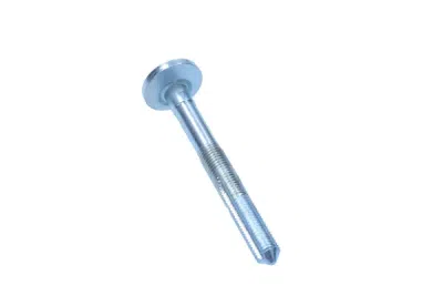 Inställningsskruv, camber MAXGEAR 49-5081