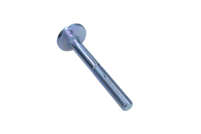 Inställningsskruv, camber MAXGEAR 49-5325