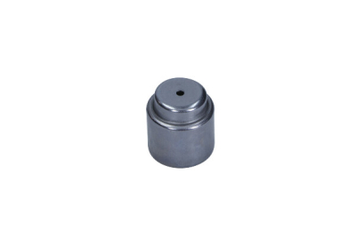 Styrlager, koppling MAXGEAR 61-0106