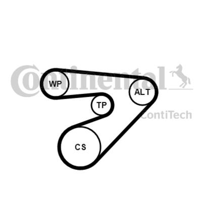 Flerspårsremssats CONTINENTAL CTAM 6PK1453K2