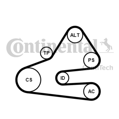 Komplet klinastog rebrastog remena CONTINENTAL CTAM 6PK1613K1