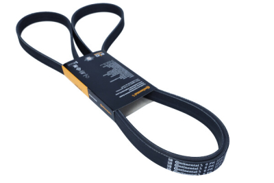 Flerspårsrem CONTINENTAL CTAM 6PK2215
