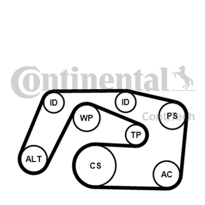 Flerspårsremssats CONTINENTAL CTAM 6PK2271K1