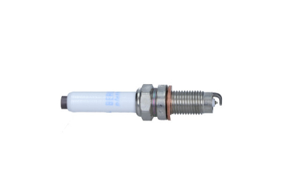 Svjećica BorgWarner (BERU) Z365