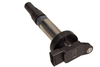 Tändspole BorgWarner (BERU) ZSE196