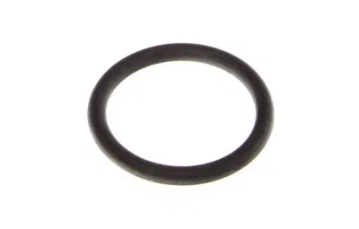 Brtva, termostat ORIGINAL RENAULT 11062-00QAA