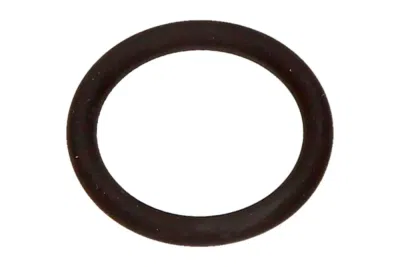 Brtveni prsten, ventil za ubrizgavanje ORIGINAL BMW 11431740045