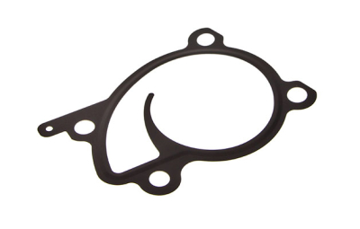 Brtva, pumpa za vodu ORIGINAL RENAULT 21014-ED000