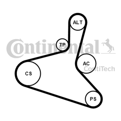 Komplet klinastog rebrastog remena CONTINENTAL CTAM 6DPK1195K1