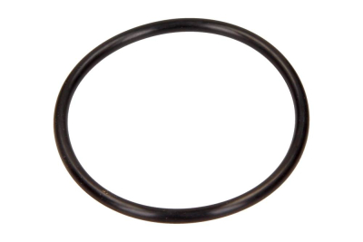 Brtva, pumpa za gorivo ORIGINAL RENAULT 8200068566