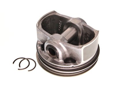 Piest NÜRAL Elastoval ® 87-442300-10