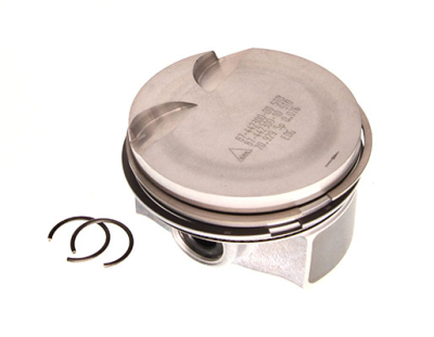 Piest NÜRAL Elastoval ® 87-442300-10