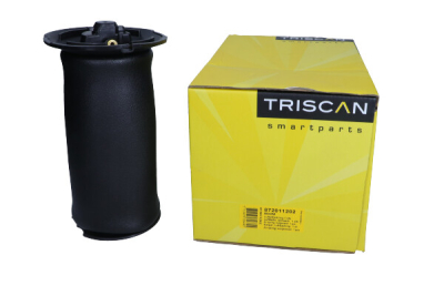 Luftfjäder, hjulupphängning TRISCAN 8720 11202
