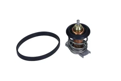 Termostat, kylmedel CALORSTAT by Vernet TH9283.88J