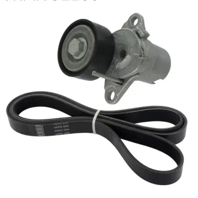 Komplet klinastog rebrastog remena SKF VKMA 31160